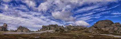 Kosciuszko NP - NSW (PBH4 00 10755)